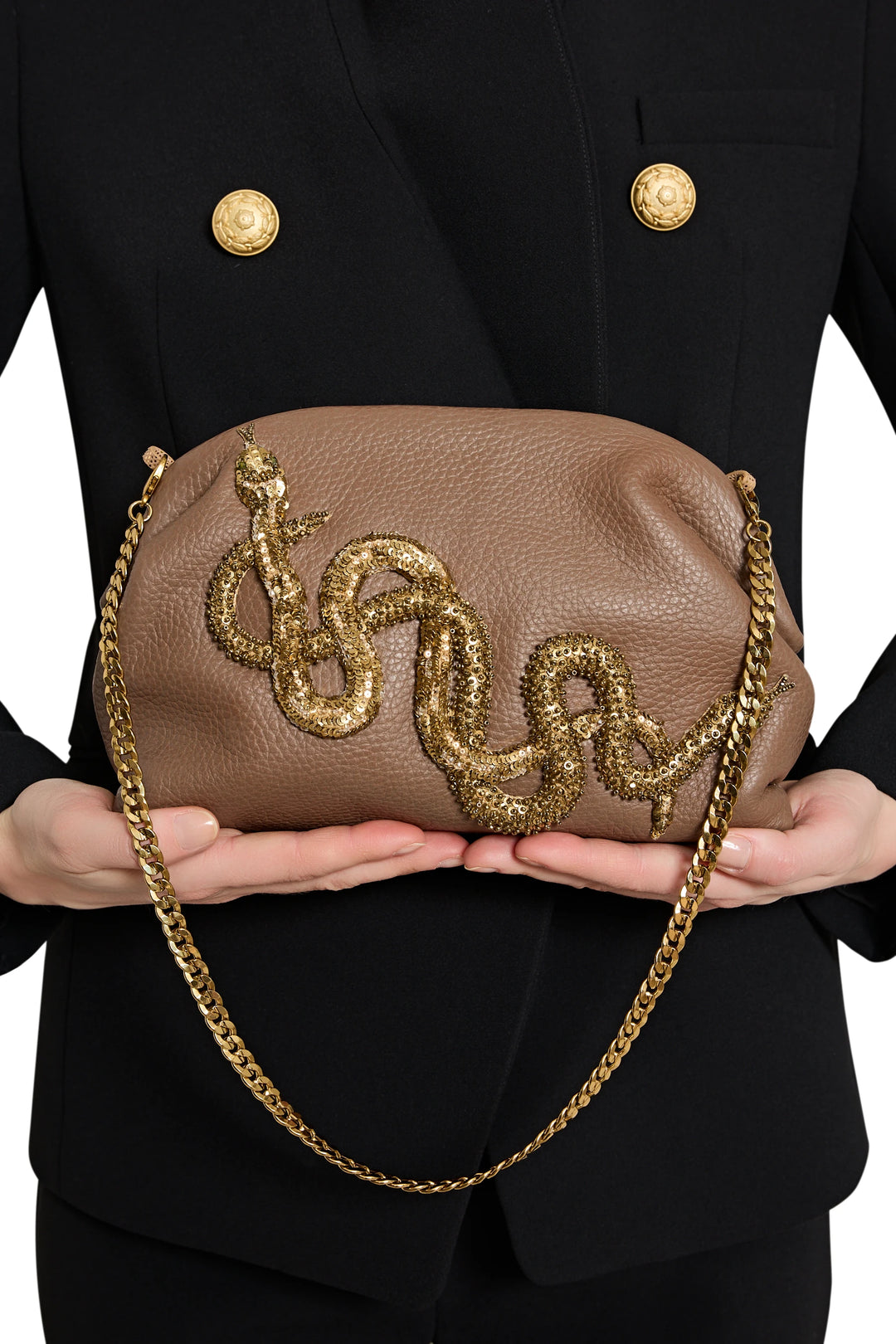 Structured clutch with jeweled serpent embellishment and chain strap, snake leather, front view on white.
