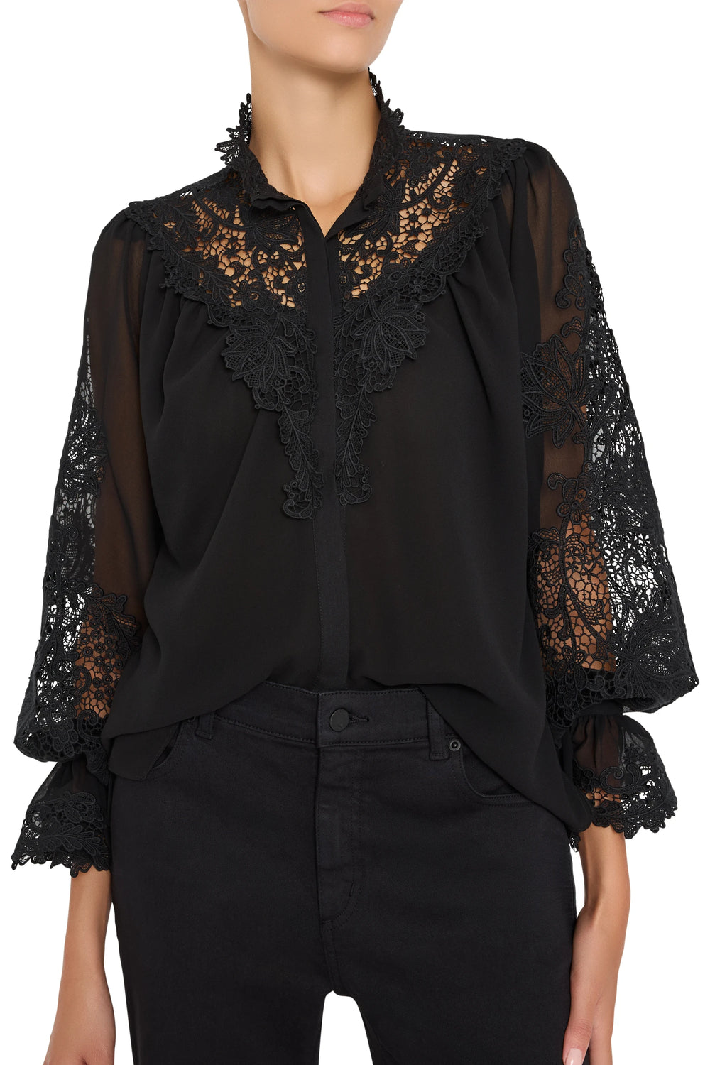 Sheer-sleeve blouse with antique-inspired embroidery and delicate lace details, relaxed fit; front view on model.