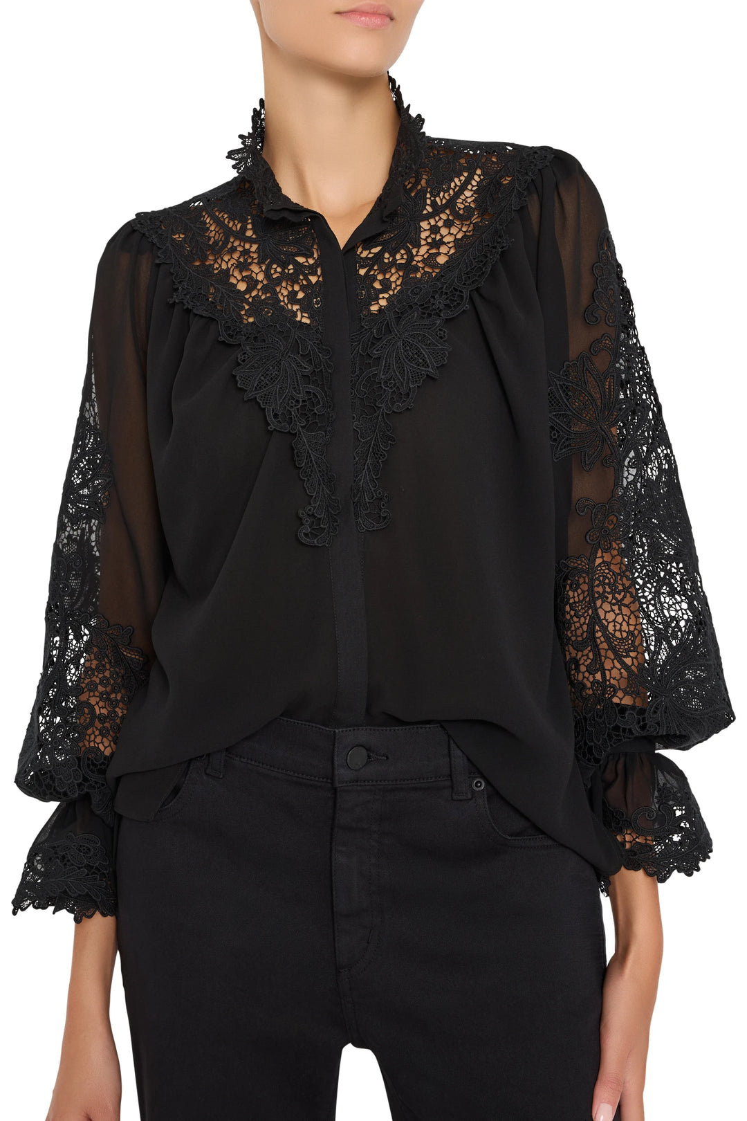 Sheer-sleeve blouse with antique-inspired embroidery and delicate lace details, relaxed fit; front view on model.
